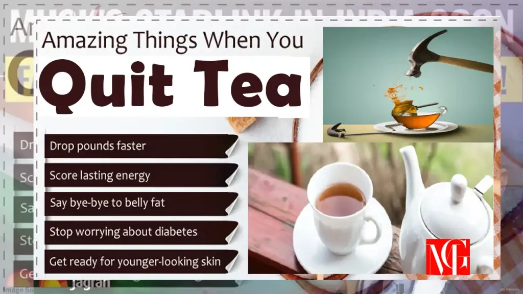 Quit Tea 2025